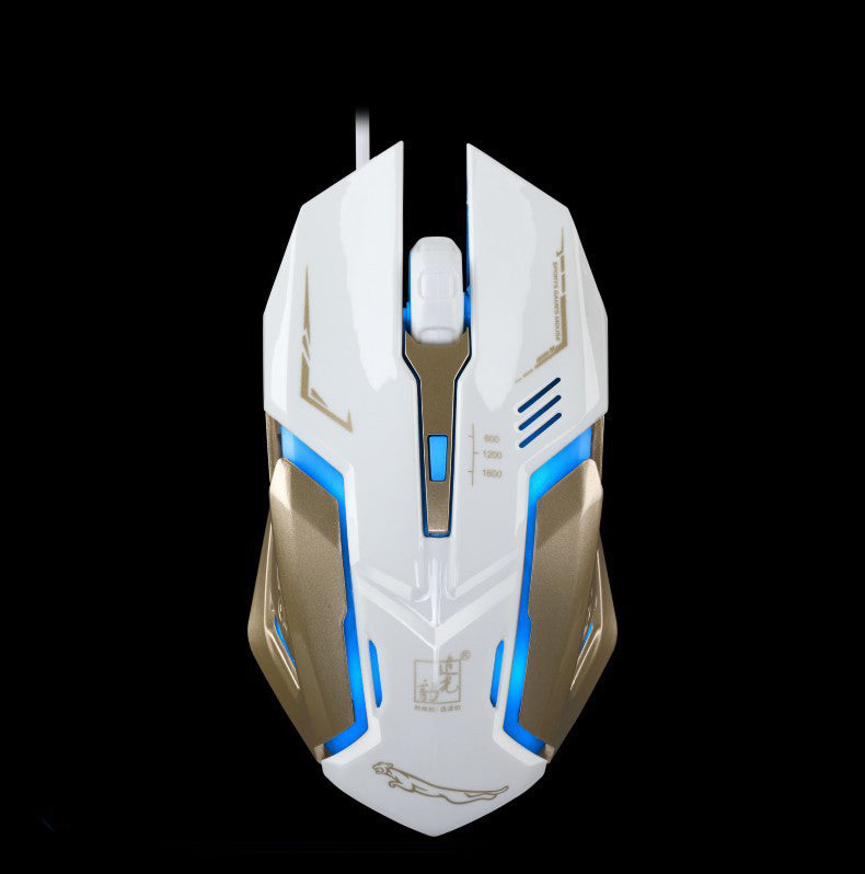 Wired Keyboard And Mouse Combo: The Perfect Pair for Every User